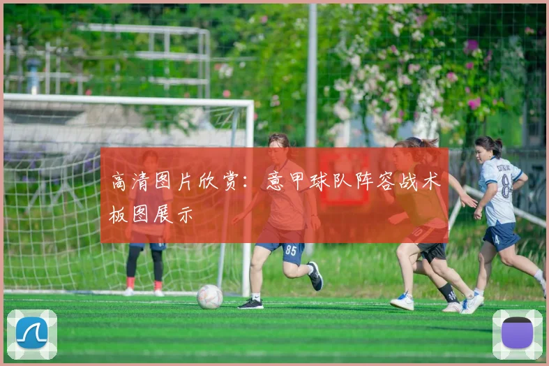 高清图片欣赏：意甲球队阵容战术板图展示